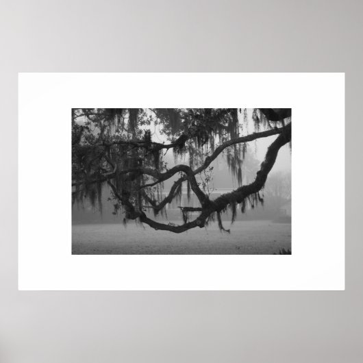 Poster Addis House (Devant)