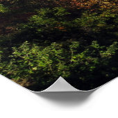 Poster Addison Pinnacle Foggy Valley View (Coin)