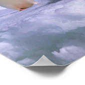 Poster Adelie Penguins (Coin)