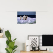 Poster Adelie Penguins (Bureau à domicile)