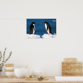 Poster Adelie Penguins (Cuisine)