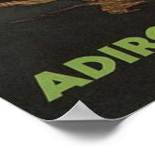 POSTER ADIRONDACK (Coin)