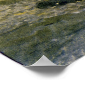 Poster Adirondack Birches (Coin)