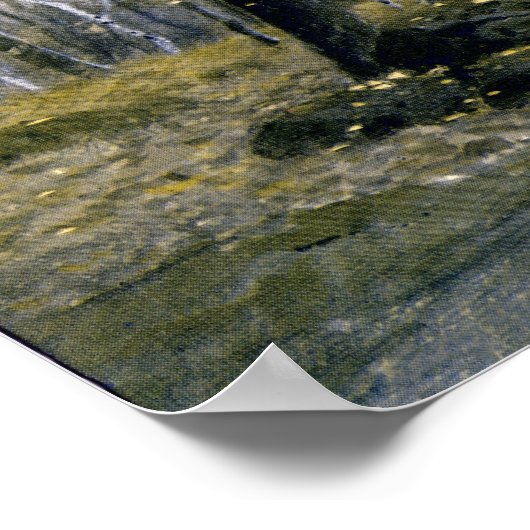 Poster Adirondack Birches (Coin)