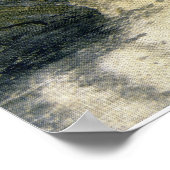 Poster Adirondack Birches (Coin)