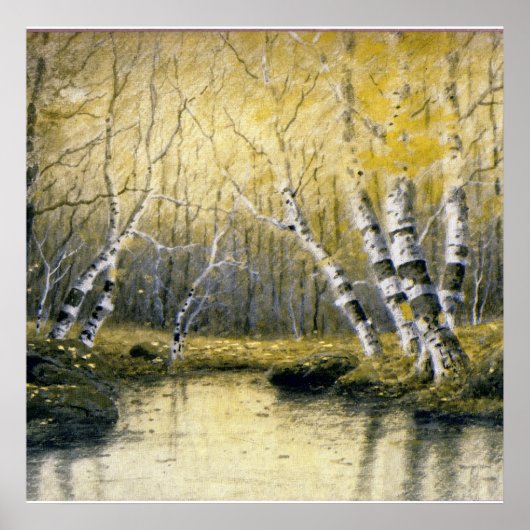 Poster Adirondack Birches (Devant)