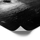 Poster Adirondack Fly Fishing (Coin)