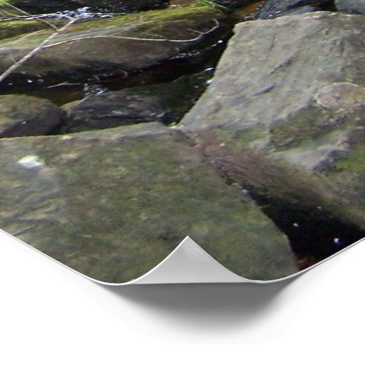 Poster Adler Falls (Coin)