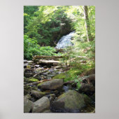 Poster Adler Falls (Devant)