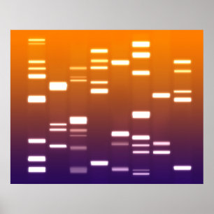 Poster ADN Code génétique Orange Bleu
