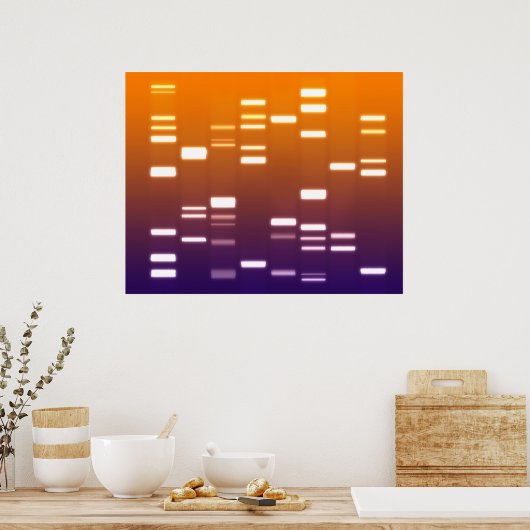 Poster ADN Code génétique Orange Bleu (Cuisine)
