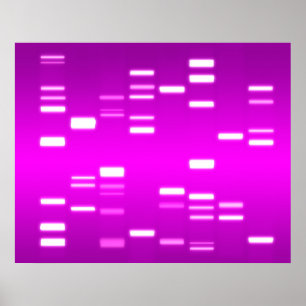 Poster ADN Code génétique Pink Magenta