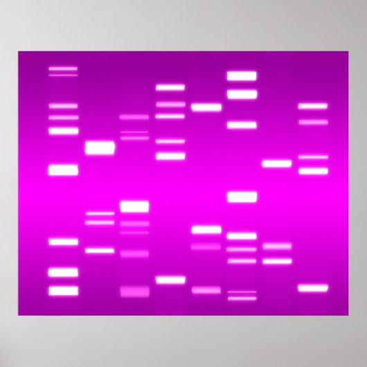 Poster ADN Code génétique Pink Magenta (Devant)