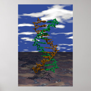 Poster ADN dehors