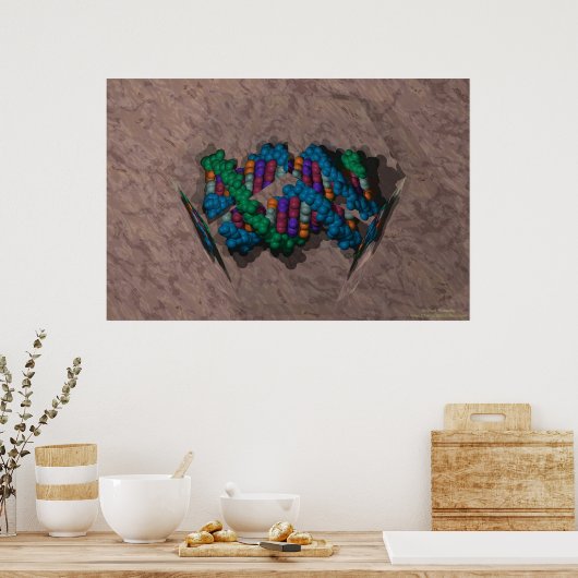 Poster ADN Papier (Cuisine)