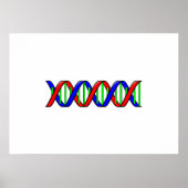 Poster ADN scientifique (Devant)