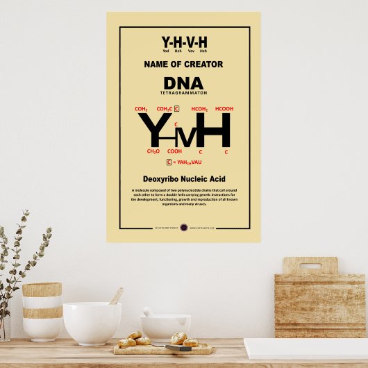 POSTER ADN-YHVH (Cuisine)