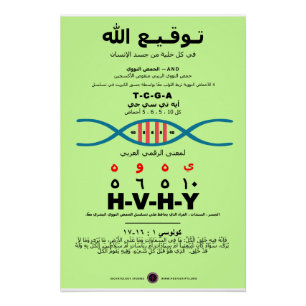 Poster ADN YHVH - arabe