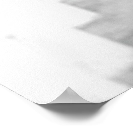 Poster Ado Leonardo Di Caprio (Coin)