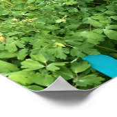 Poster Adobe house Garden Nouveau Mexique Photo (Coin)