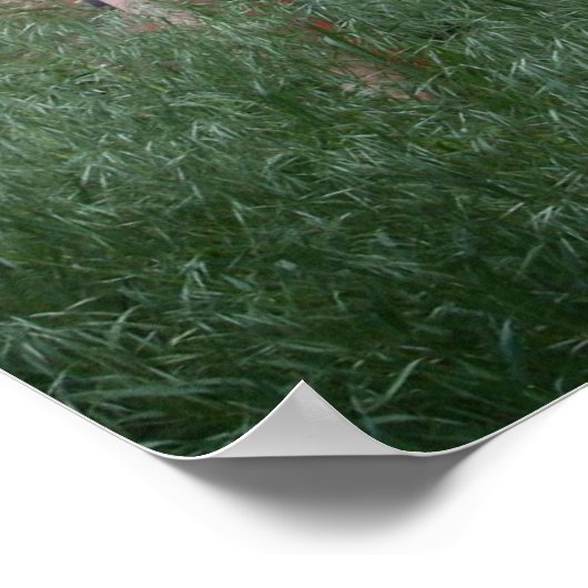 Poster Adobe Wall & Gardener (Coin)