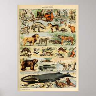 Poster Adolphe Millot Animaux