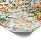 Poster Adolphe Millot fleurs D (Coin)