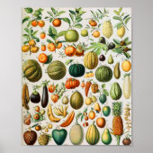 Poster Adolphe Millot fruits B (Devant)