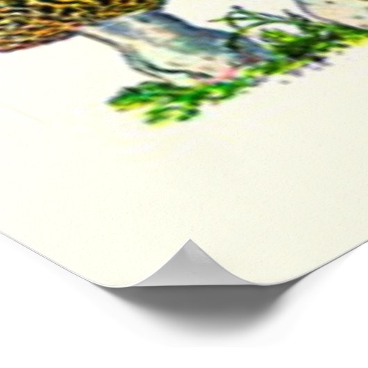 Poster Adolphe Millot ~ Fungi (Coin)