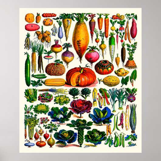 Poster Adolphe Millot ~ Légumes (Devant)
