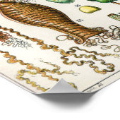 Poster Adolphe Millot Oeufs Vintages (Coin)