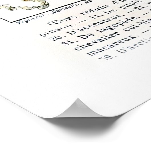 Poster Adolphe Millot Ouefs Oeufs (Coin)