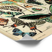 Poster - Adolphe Millot Papillons Papillons (Coin)