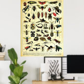 Poster Adolphe Millot Récréée Nature Créatures Insectes (Bureau à domicile)