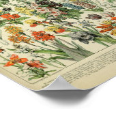 Poster Adolphe Philippe Millot Fleurs (Coin)