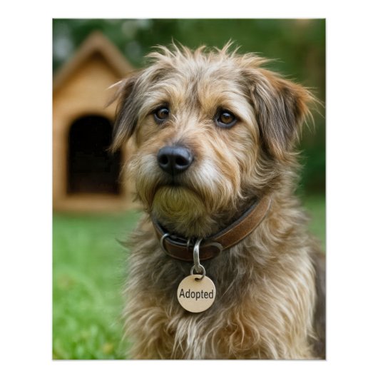Poster Adopted Scruffy Dog With Dog House (Devant)