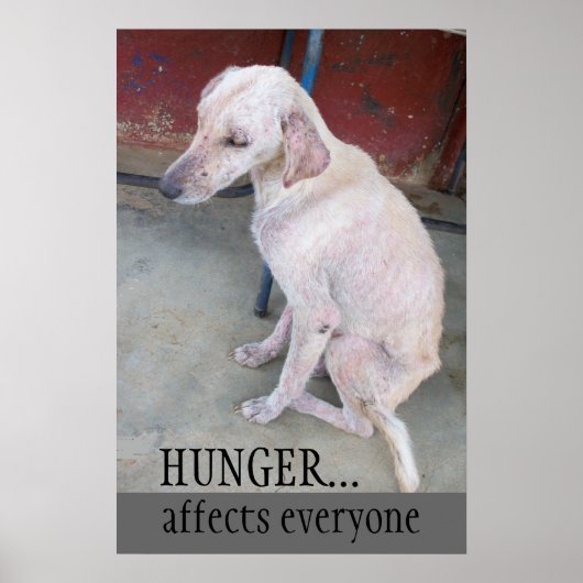 Poster Adopter le magasin de points (Devant)