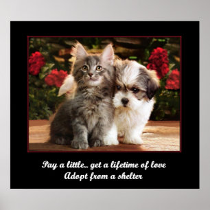 Poster Adopter un animal de compagnie