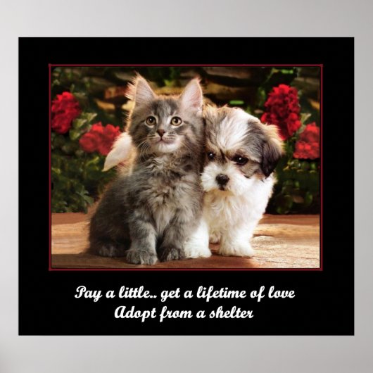 Poster Adopter un animal de compagnie (Devant)