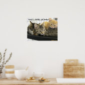 Poster Adopter un chat refuge aujourd'hui (Cuisine)