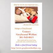 Poster Adopter un Greyhound (Devant)