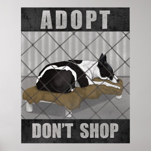 Poster Adoptez, n'achetez pas (Devant)