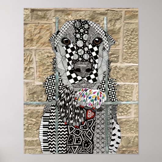 Poster Adoption d'un chien de refuge pour animaux (Devant)