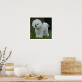 Poster Adorable Bichon (Cuisine)