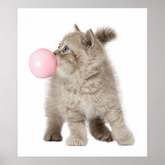 Poster Adorable Chat Chaton Bubble Gum Nurserie Enfant (Devant)