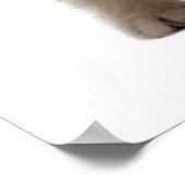 Poster Adorable Chat Chaton Bubble Gum Nurserie Enfant (Coin)