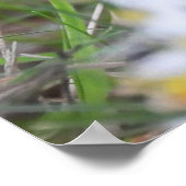 Poster Adorable Chipmunk en fleurs (Coin)