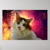 Poster Adorable Cute Calico Cat (Devant)