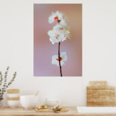 Poster Adorable fleurs d'abricot japonais (Cuisine)