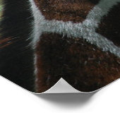 Poster Adorable Giraffe (Coin)